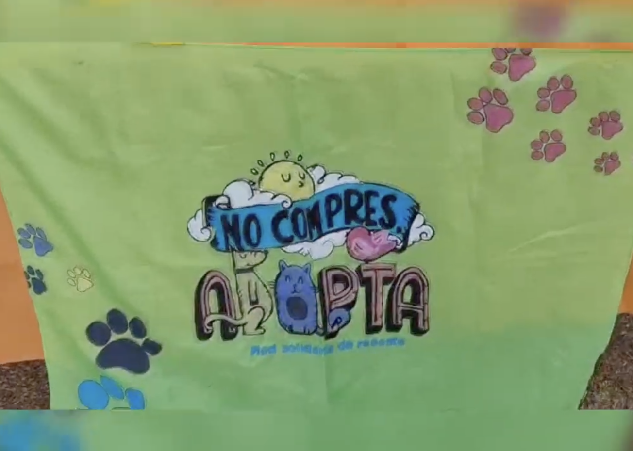 La Red Solidaria de Rescate Canino se encuentra presente todos los sábados en la «Feria de la Bahía»